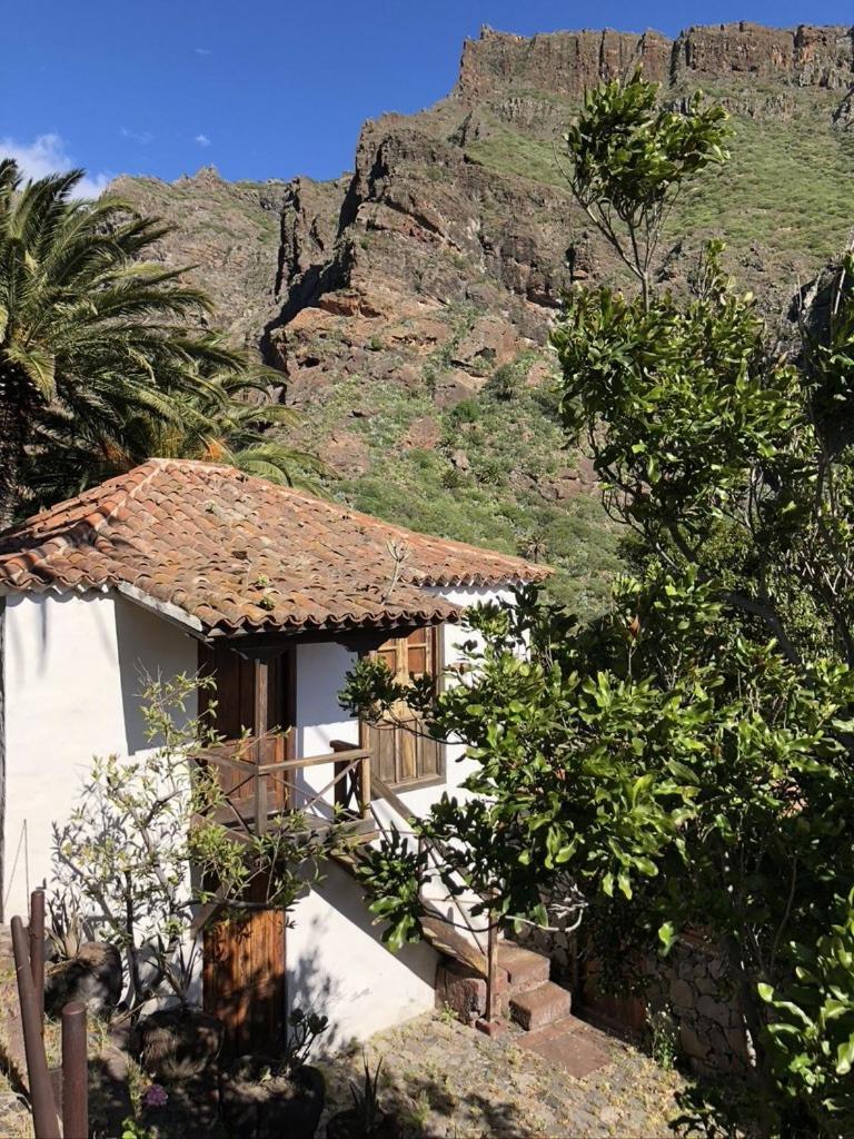 Home2Book El Encanto De La Torre I Santa Cruz de Tenerife Buitenkant foto